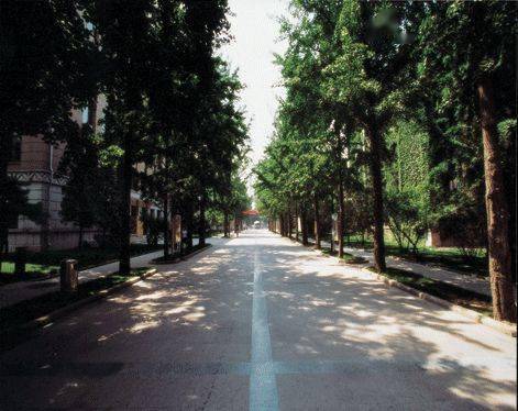 北京林业大学 在京投放计划与去年持平 部分专业组有调整