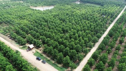 肥西县官亭镇:打好“三张牌
