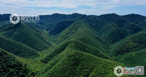 江西打造全国性生态产品与资源环境权益综合交易平台