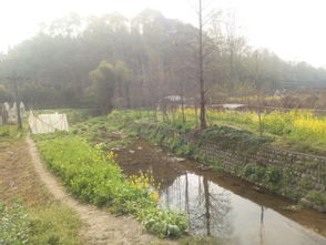 四川农林业用地转让,出租,流转,出售信息,承包价格 四川土流网