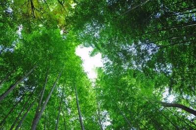 柳东、北部生态新区、融水…的朋友们注意!有好消息